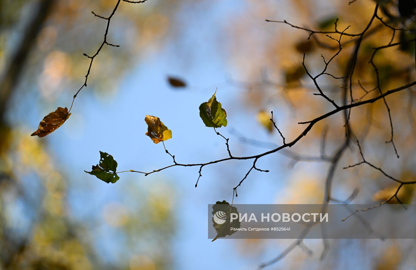 Осень в Москве