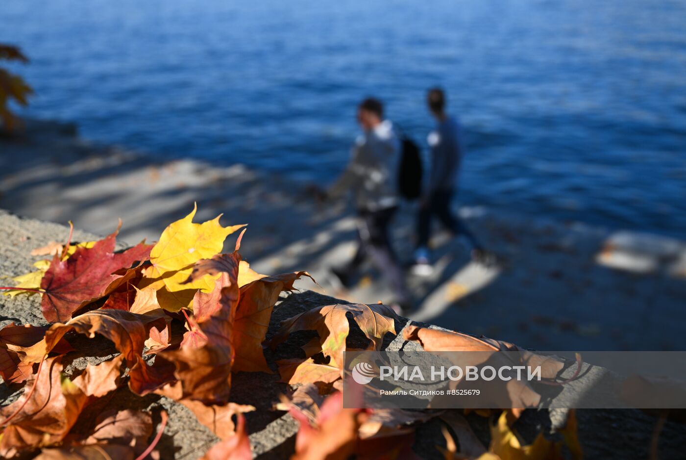 Осень в Москве