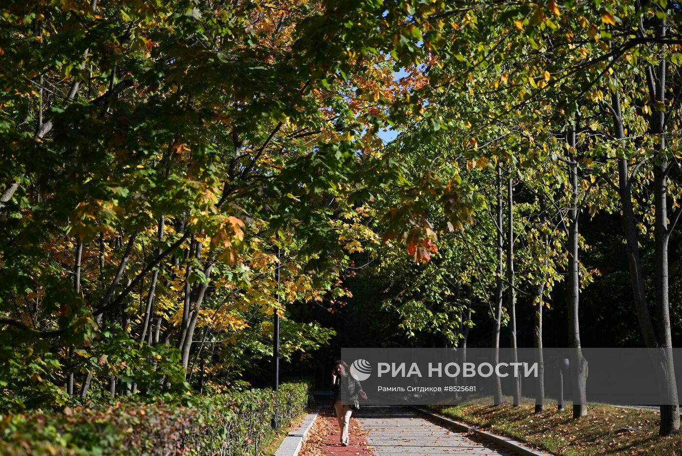 Осень в Москве