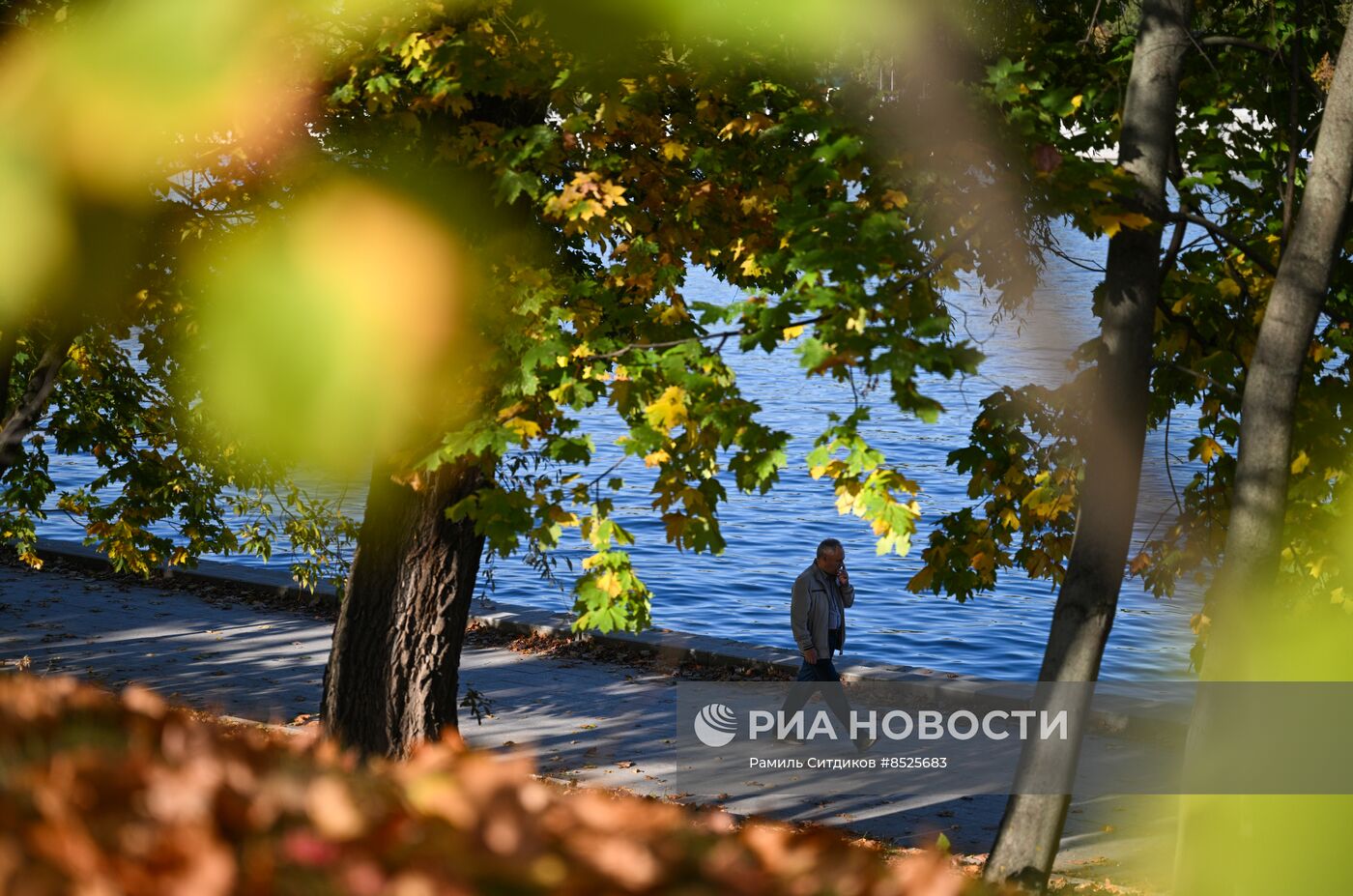 Осень в Москве