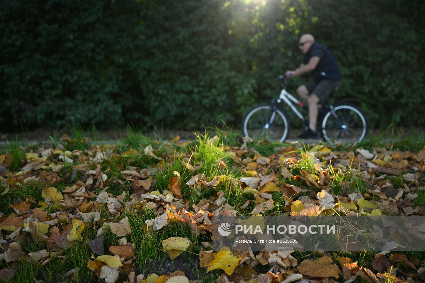 Осень в Москве