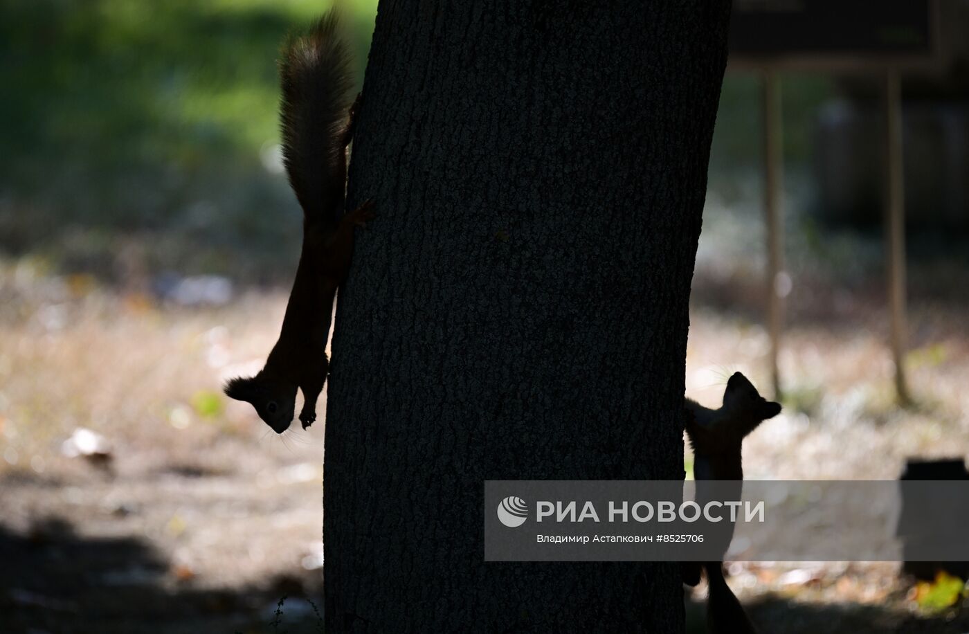 Осень в Москве