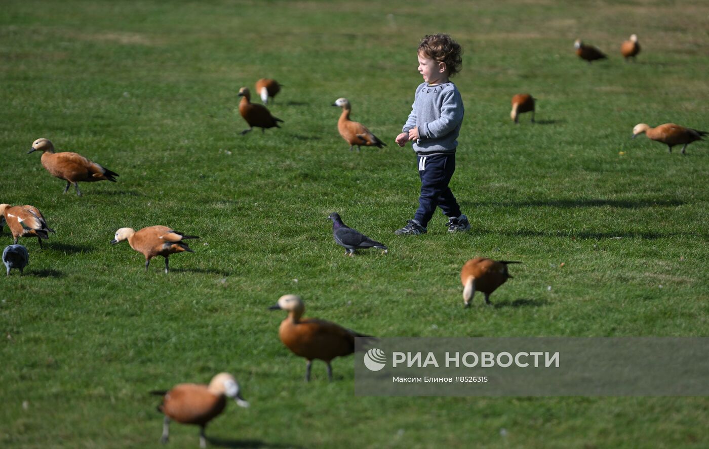 Осень в Москве