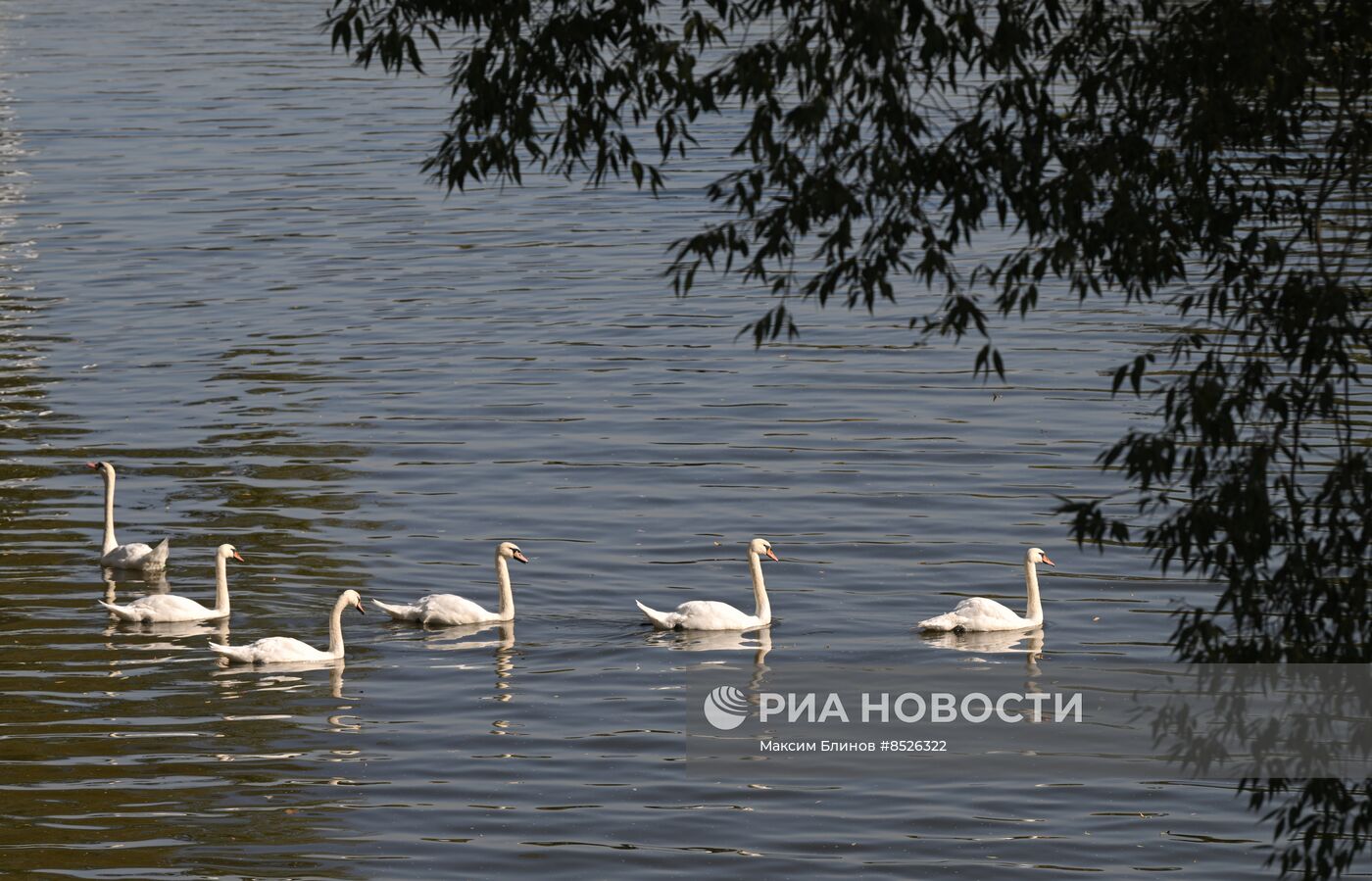 Осень в Москве