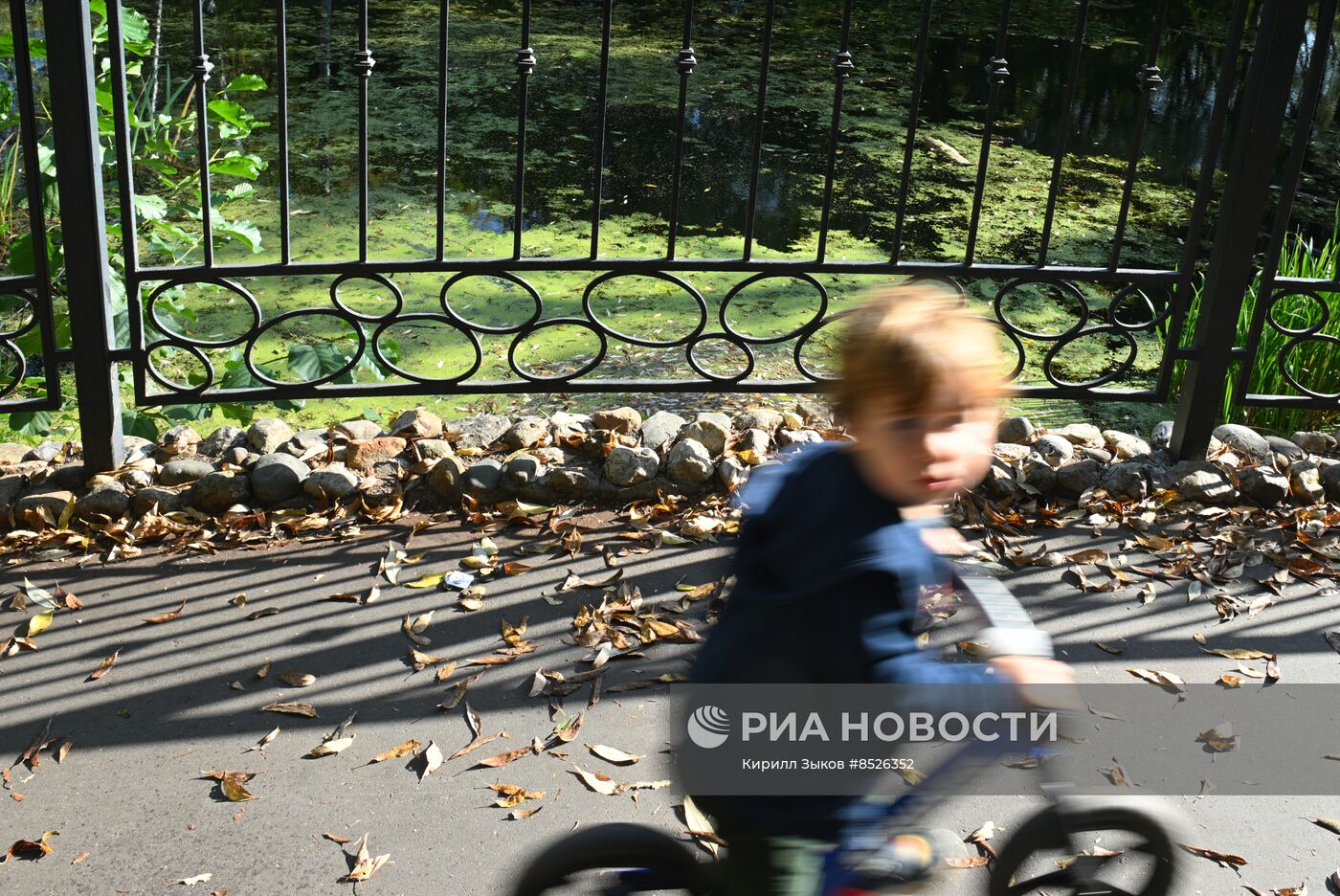 Осень в Москве