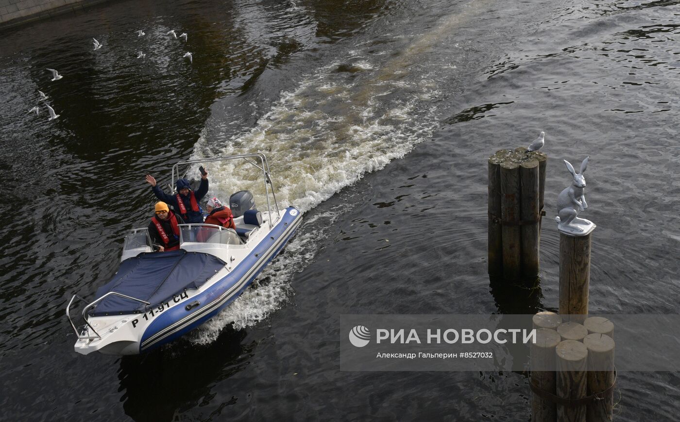 Возвращение памятника зайцу Арсению после реставрации к Петропавловской крепости в Петербурге