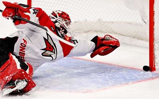 Хоккей. КХЛ. Матч "Динамо М" - "Авангард"