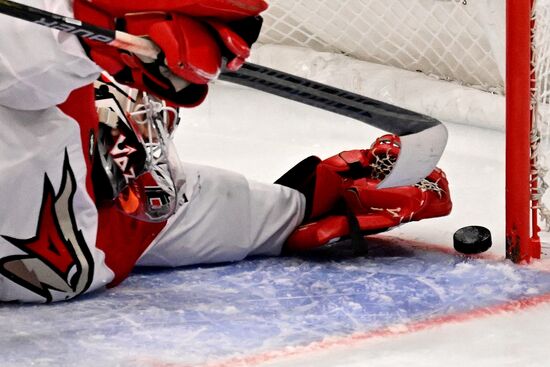 Хоккей. КХЛ. Матч "Динамо М" - "Авангард"