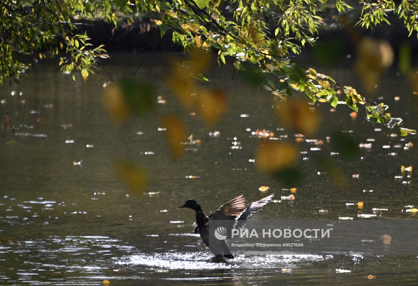 Осень в Москве