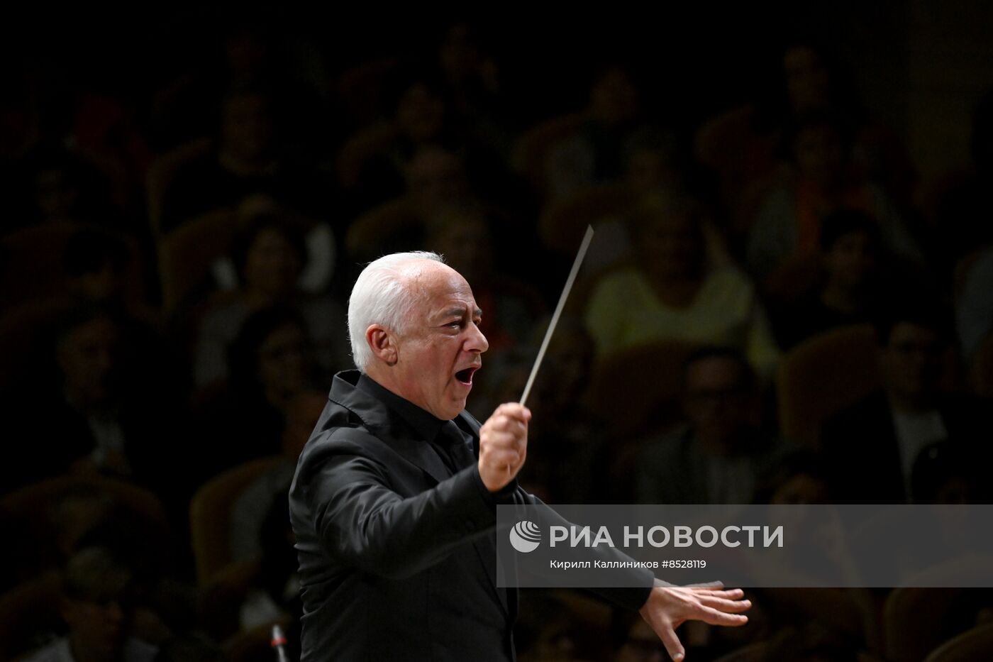 ХХ Международный фестиваль "Москва встречает друзей"