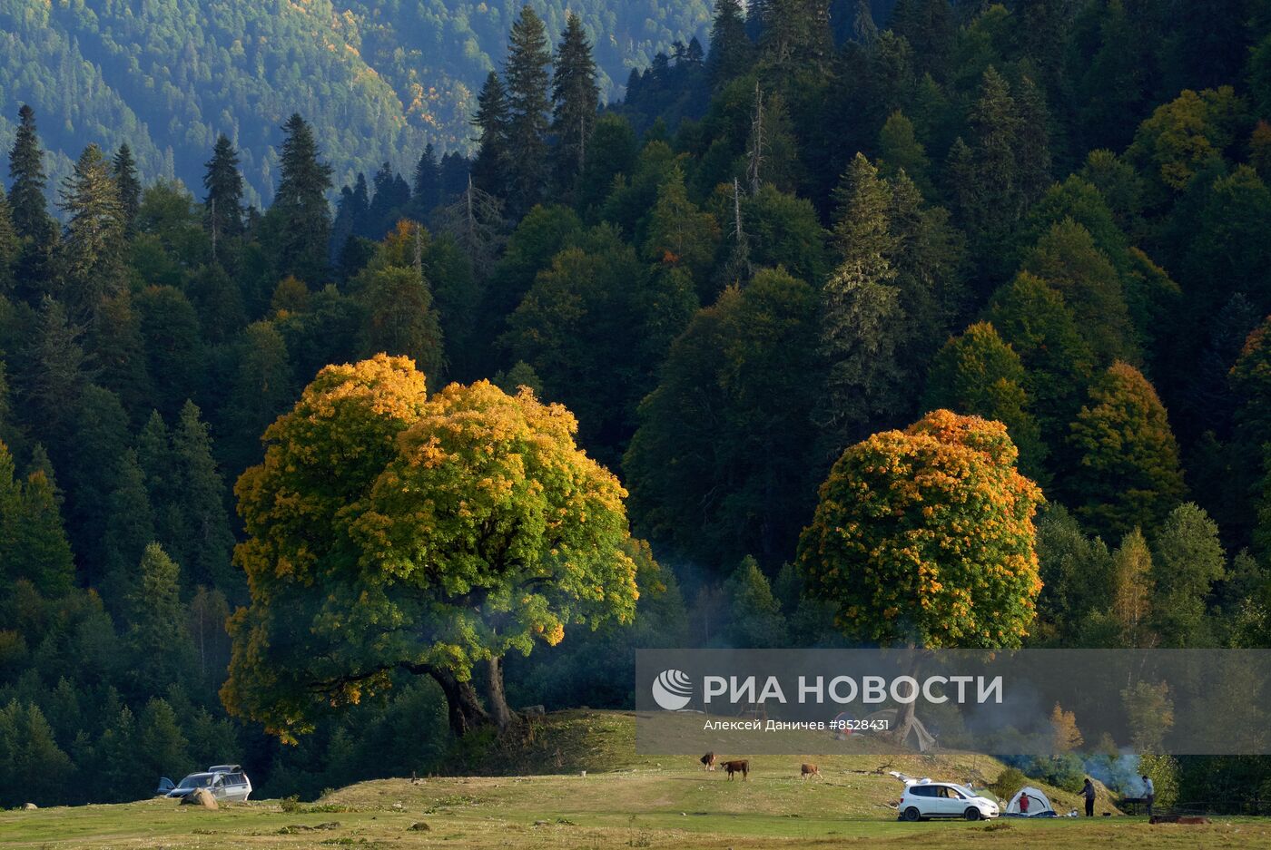 Виды Абхазии