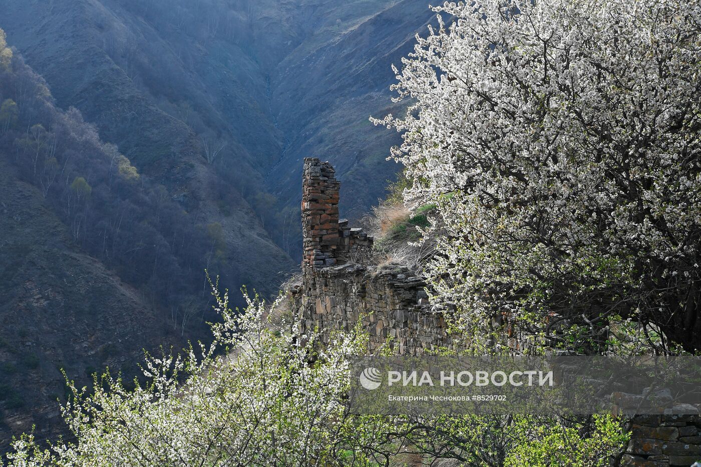 #ОткрываяРоссию. Чечня 