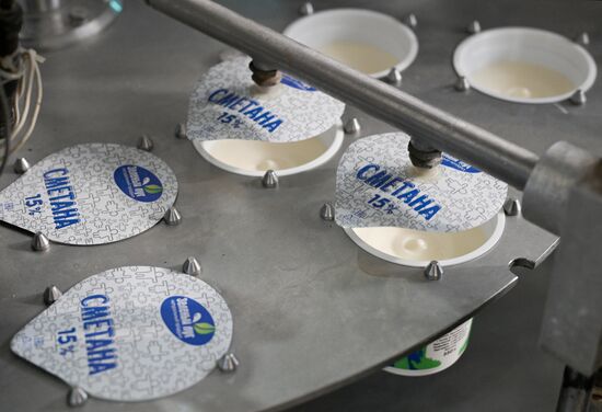 Производство молочной продукции в Новосибирской области