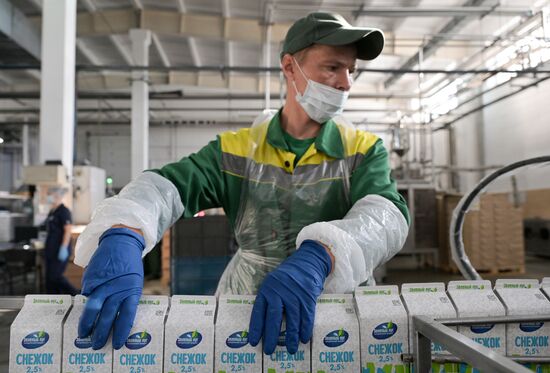 Производство молочной продукции в Новосибирской области