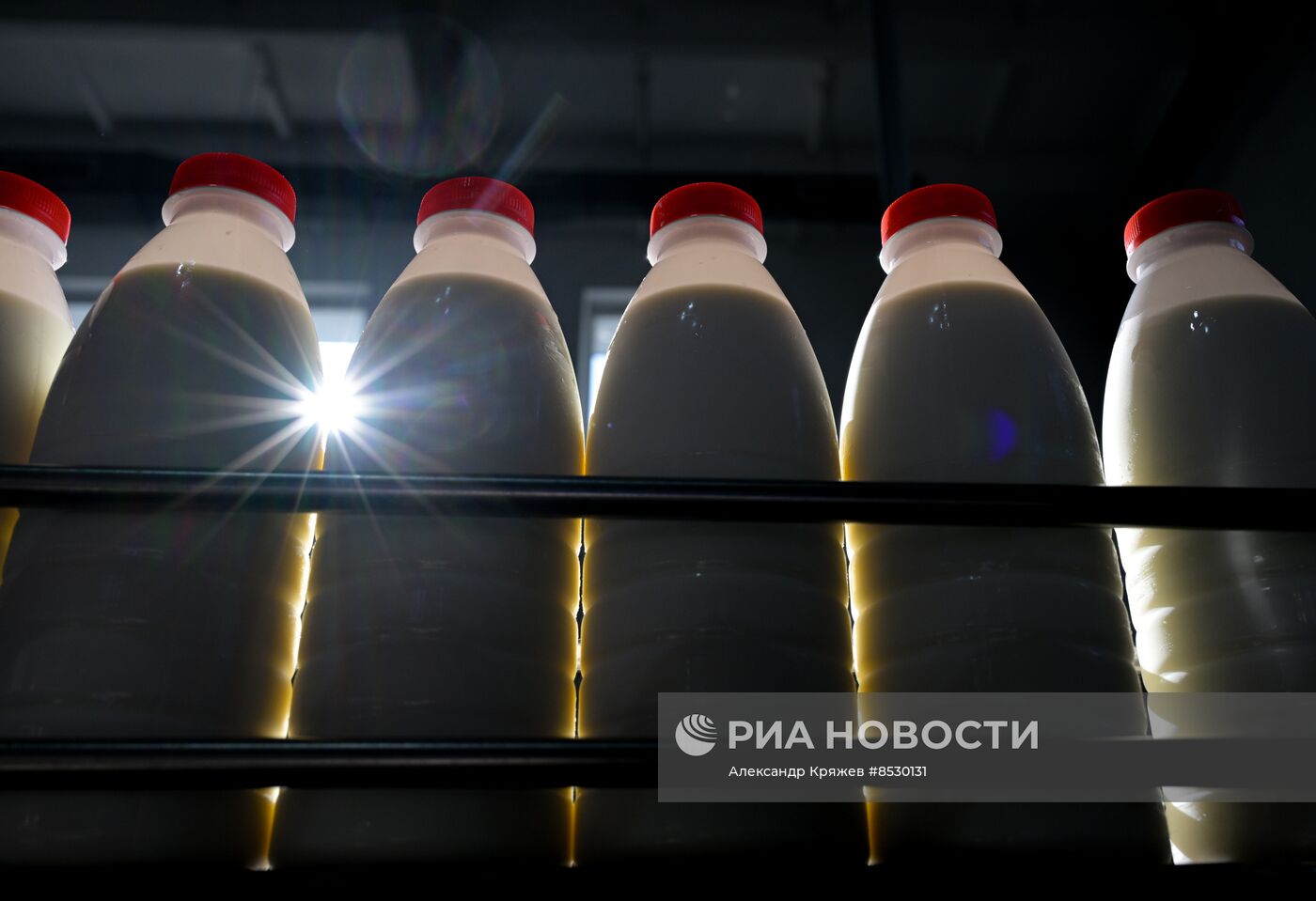 Производство молочной продукции в Новосибирской области