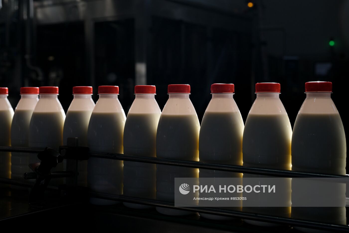 Производство молочной продукции в Новосибирской области