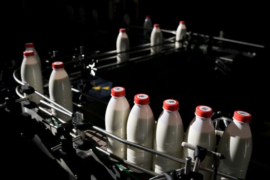 Производство молочной продукции в Новосибирской области