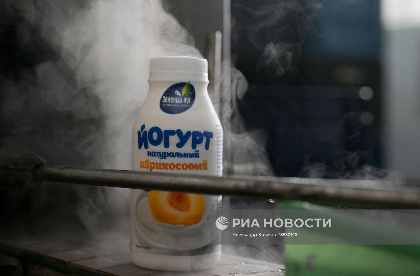 Производство молочной продукции в Новосибирской области