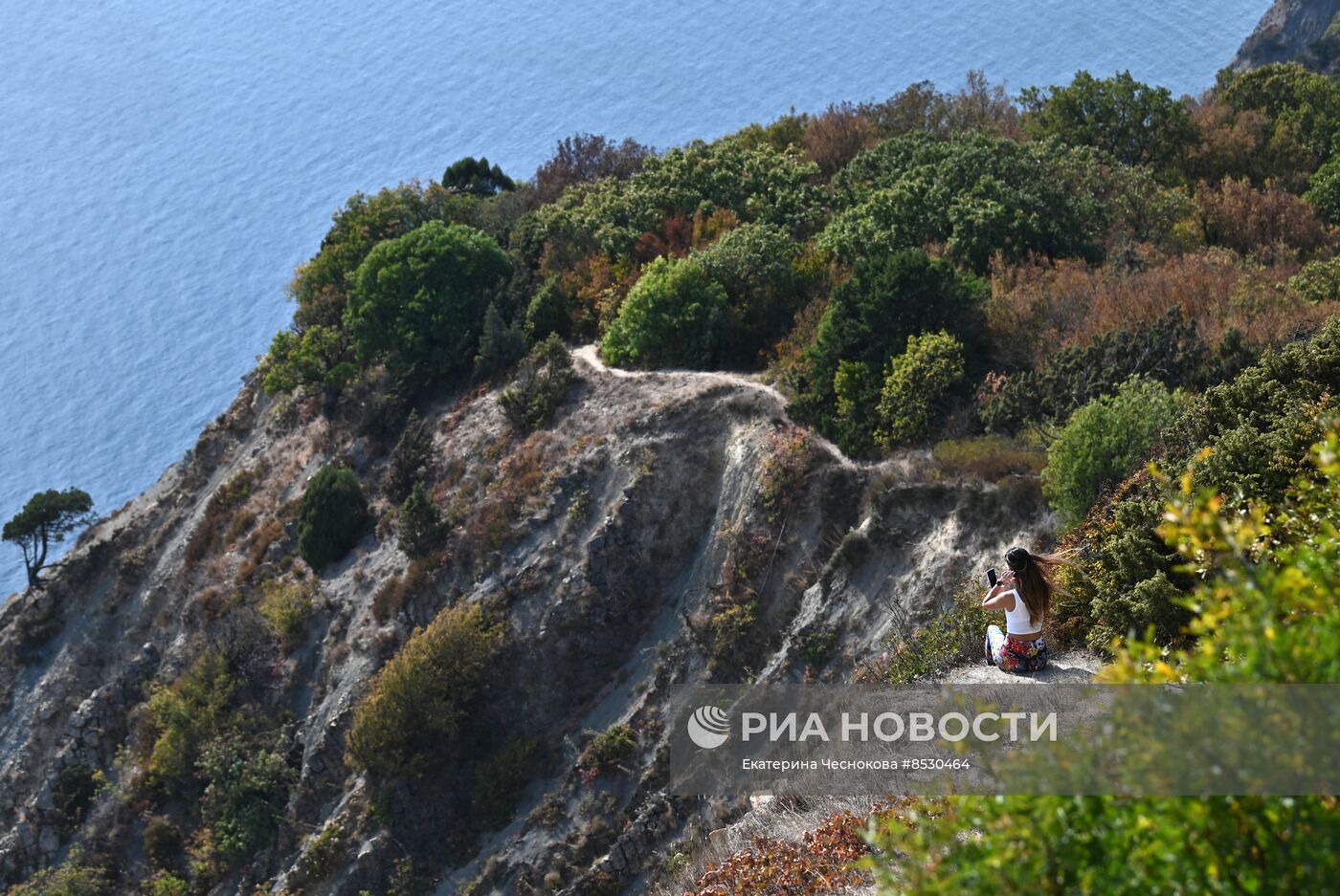 Гадюка фото краснодарский край