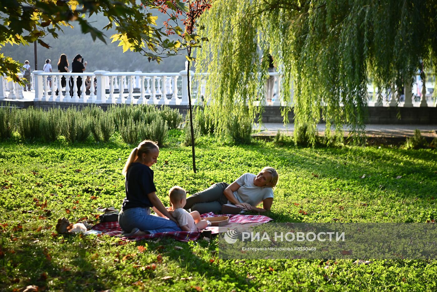 Регионы России. Краснодарский край