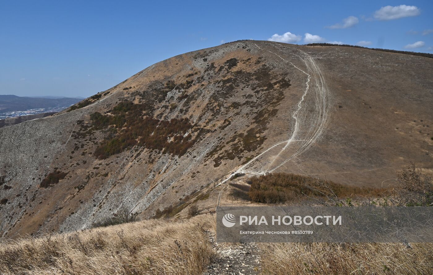 Регионы России. Краснодарский край