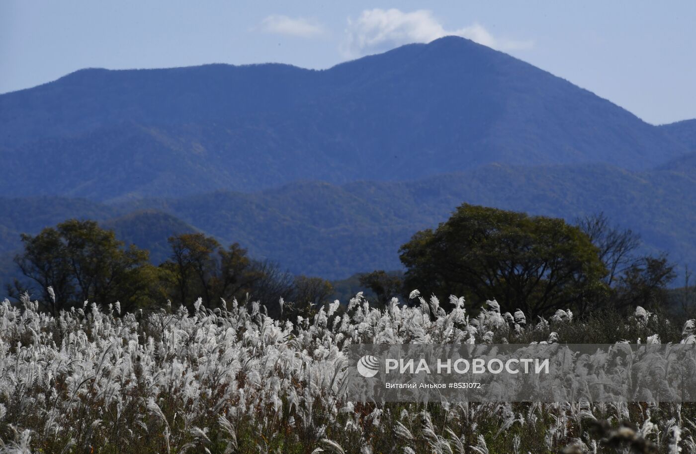 Осень в Приморье
