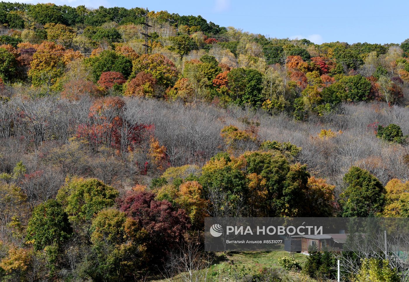Осень в Приморье