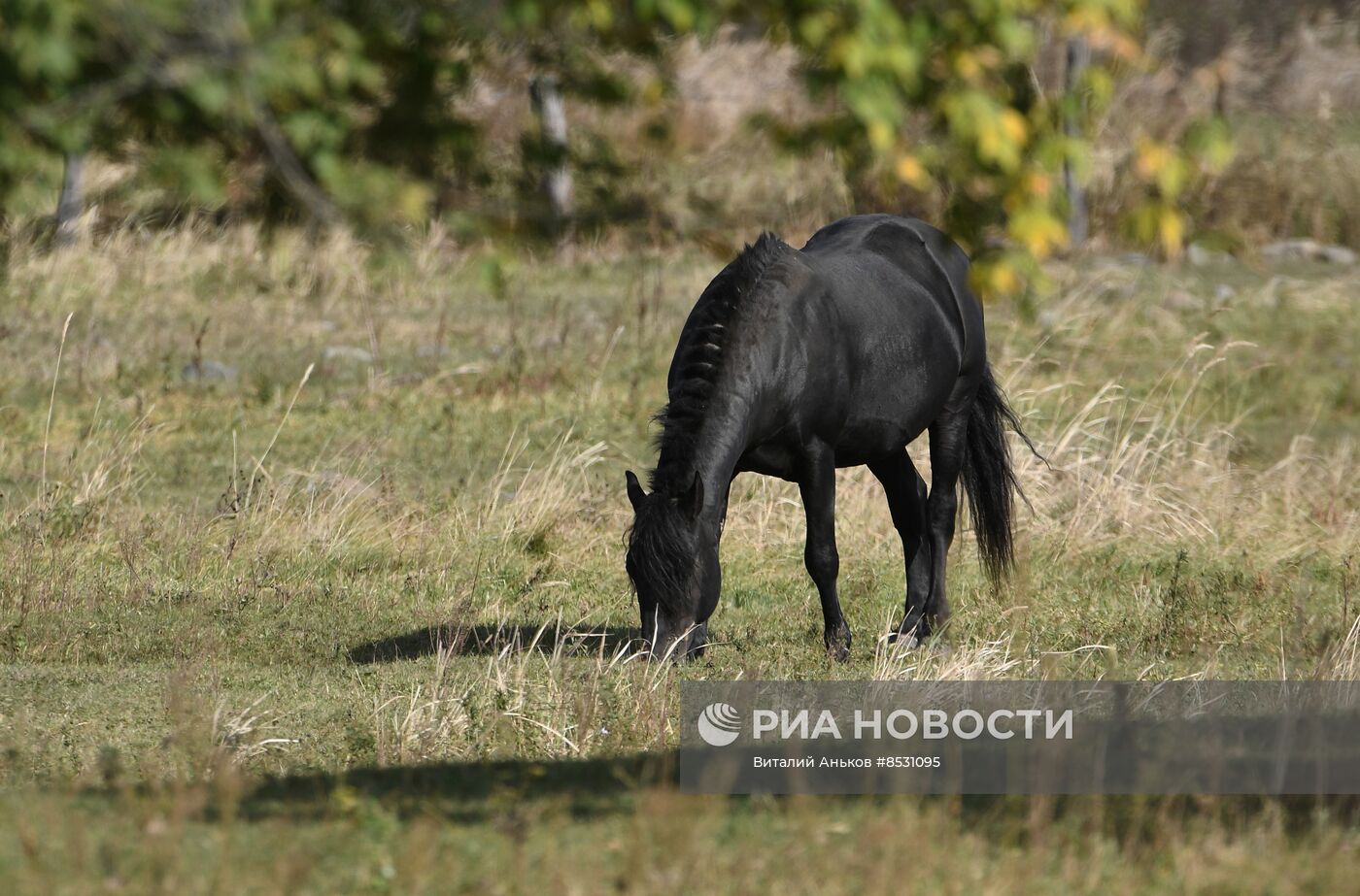 Осень в Приморье 