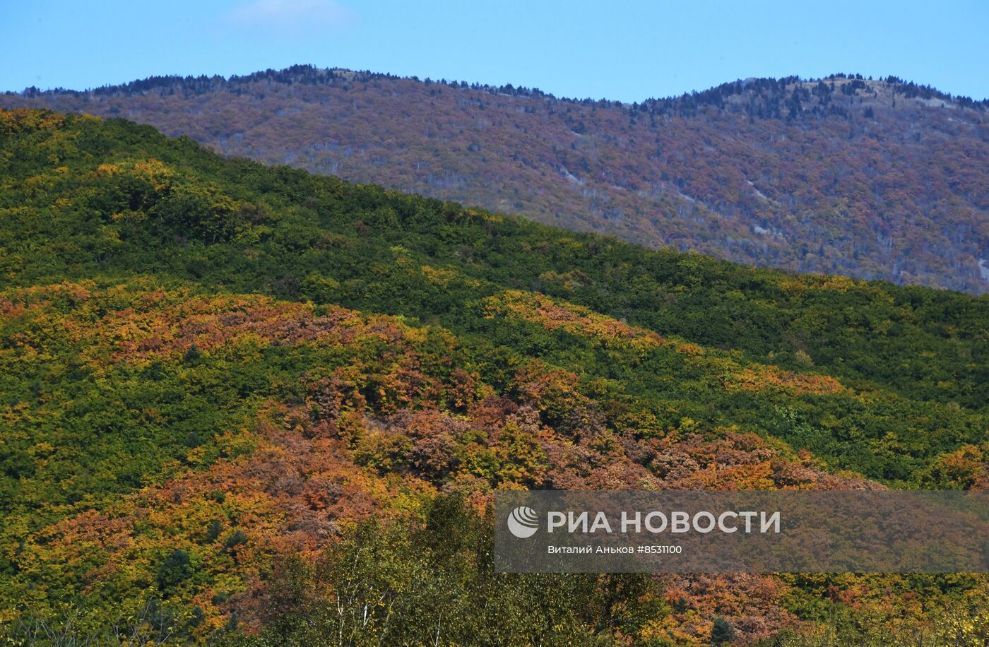 Осень в Приморье 