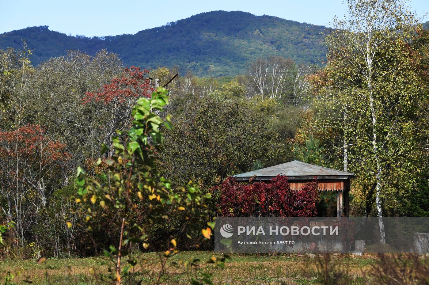 Осень в Приморье