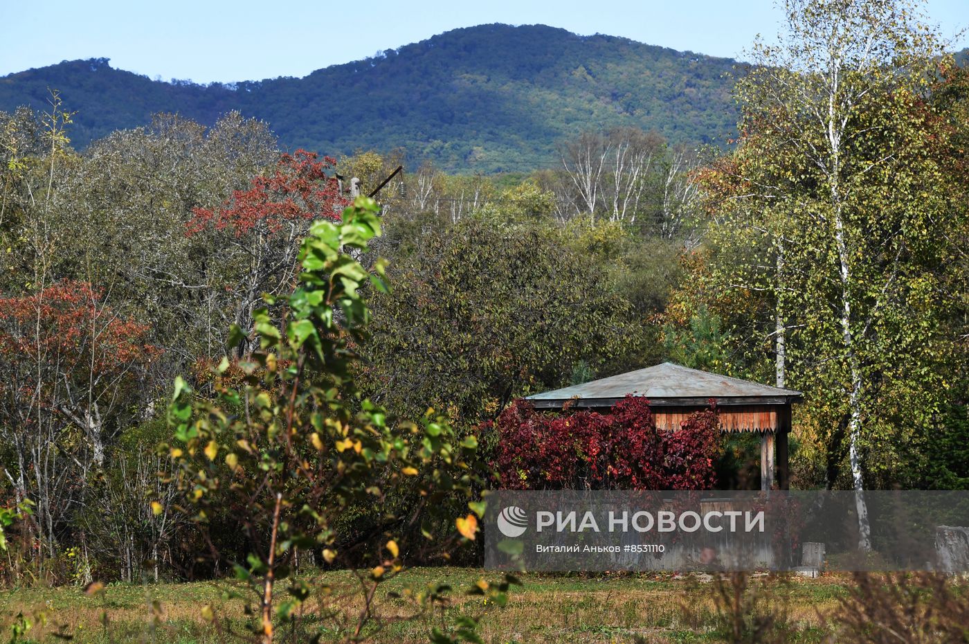 Осень в Приморье