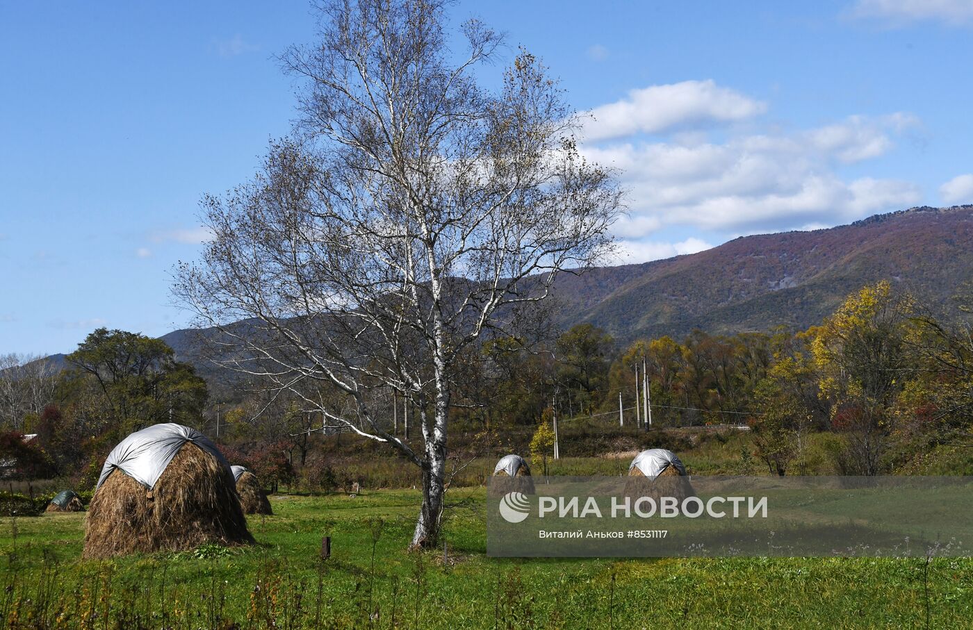 Осень в Приморье