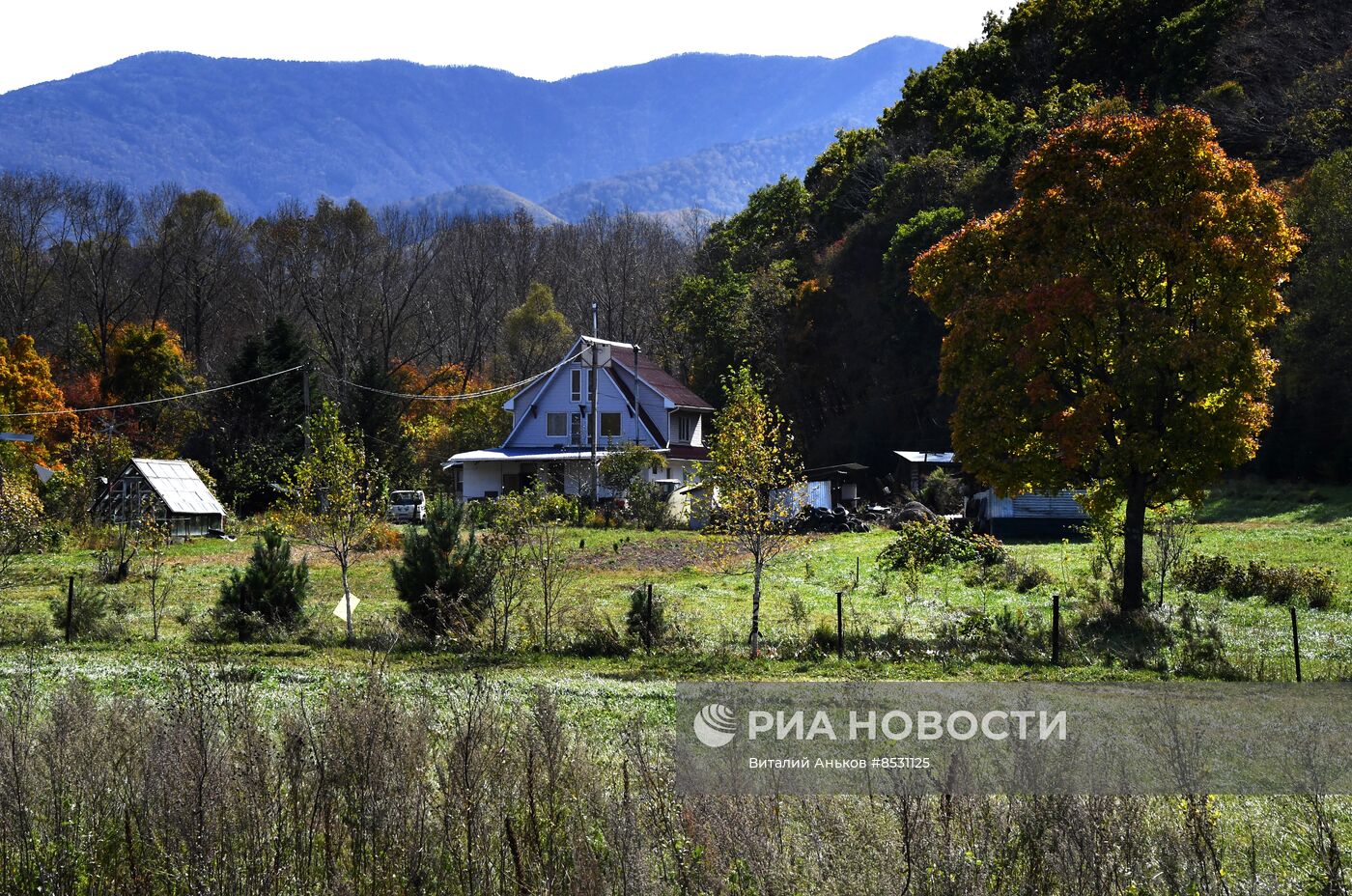 Осень в Приморье 