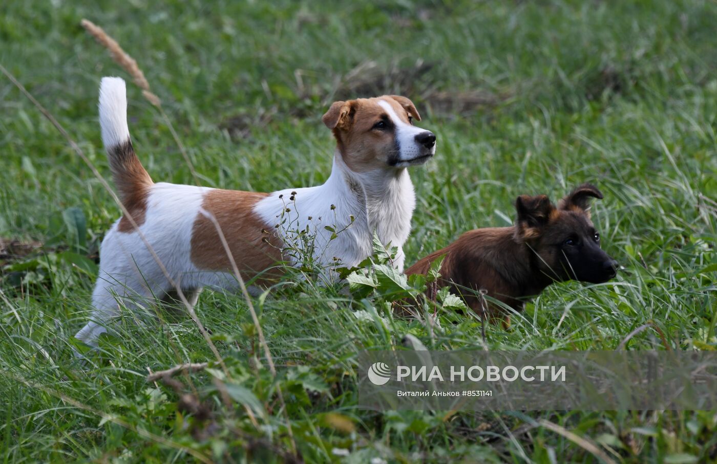 Осень в Приморье