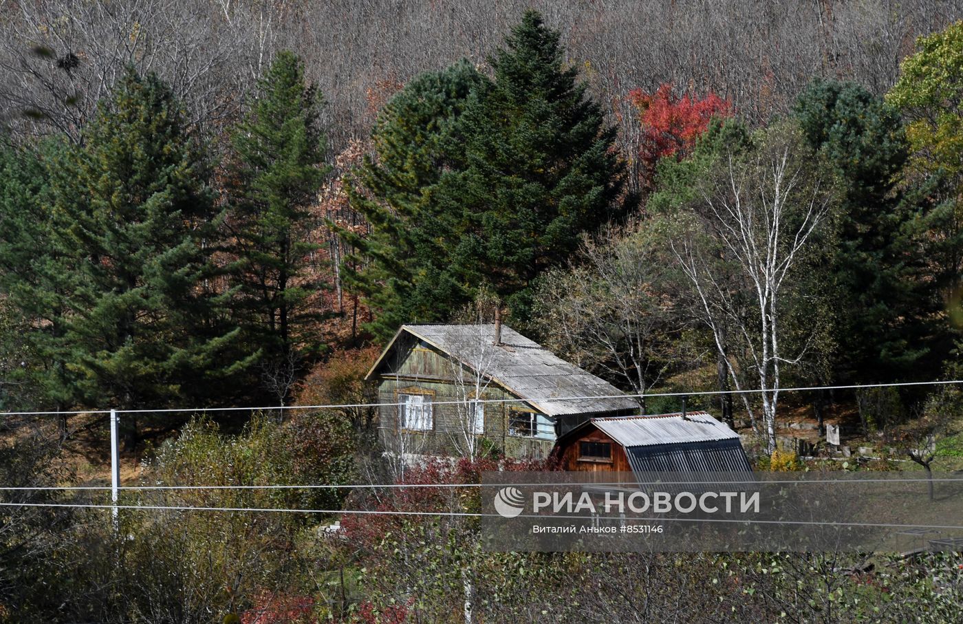 Осень в Приморье 