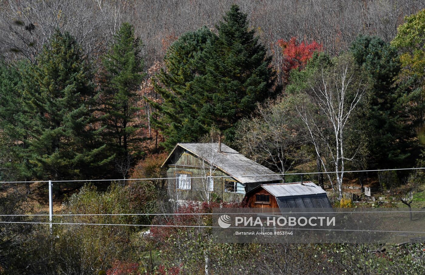 Осень в Приморье 