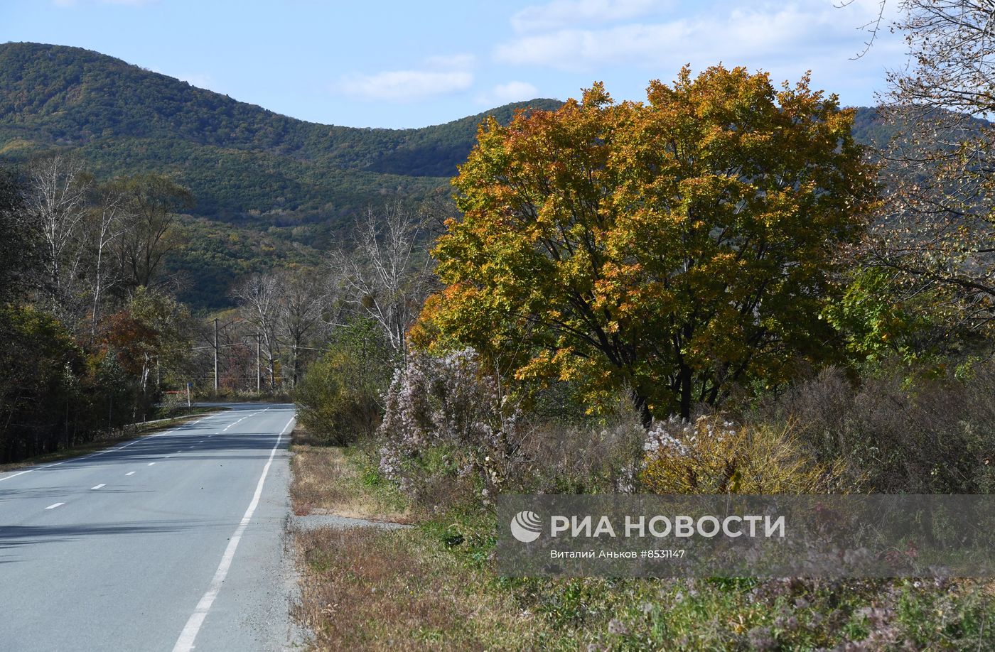 Осень в Приморье