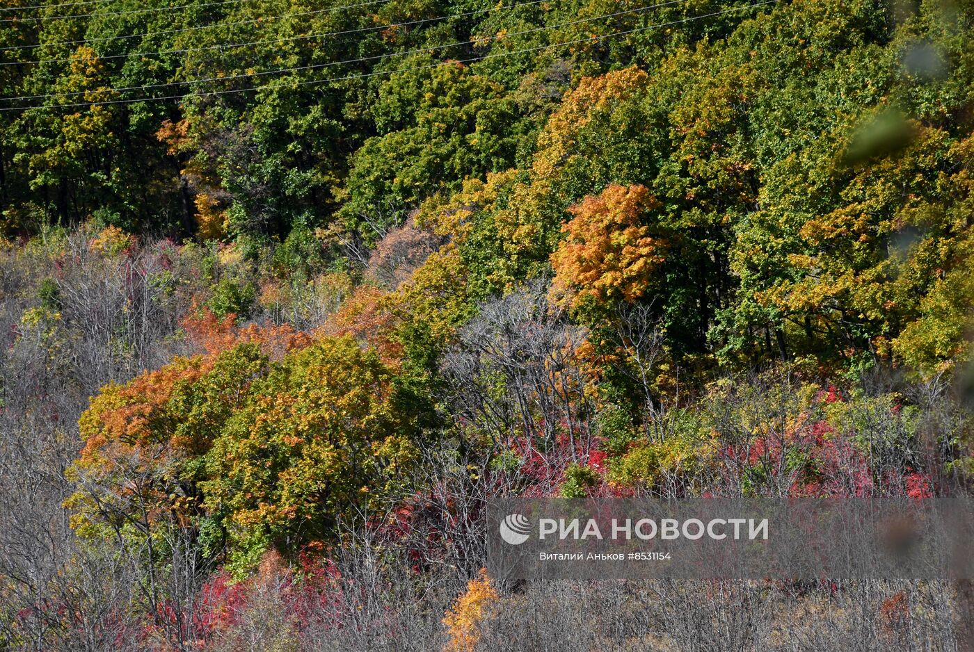 Осень в Приморье 