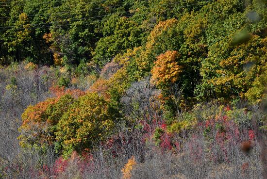 Осень в Приморье 