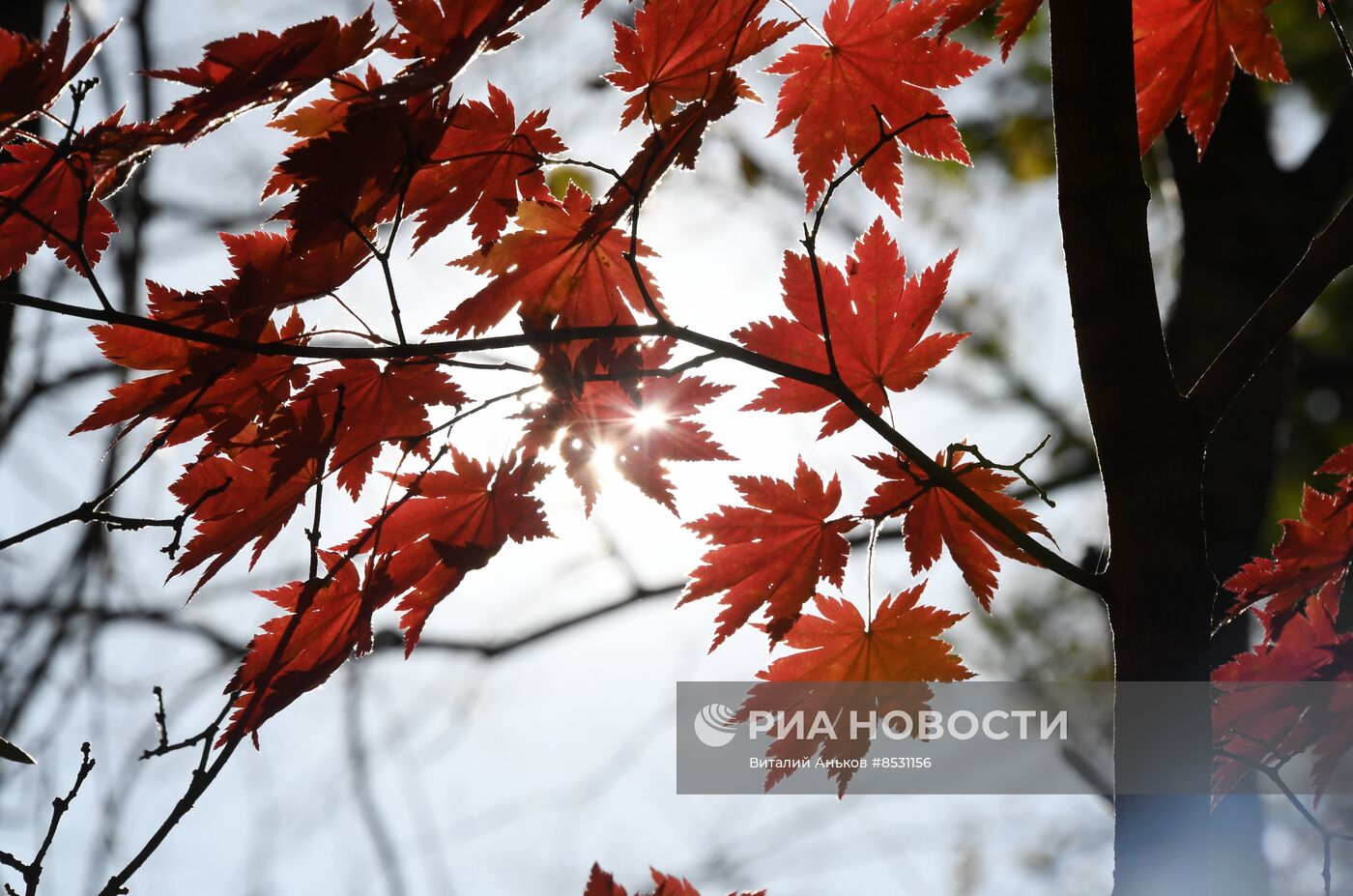 Осень в Приморье