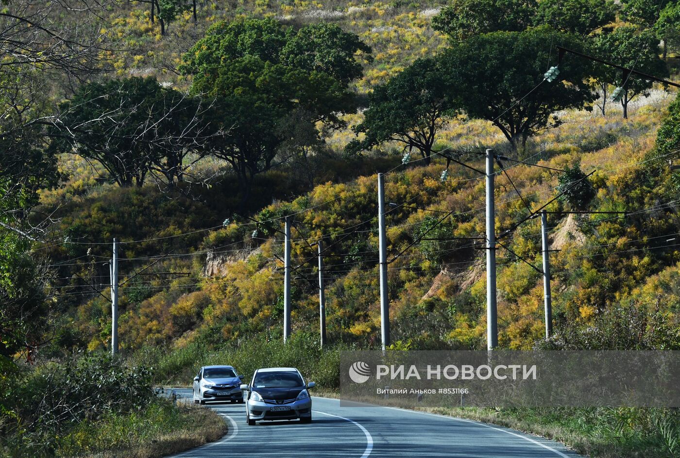 Осень в Приморье 