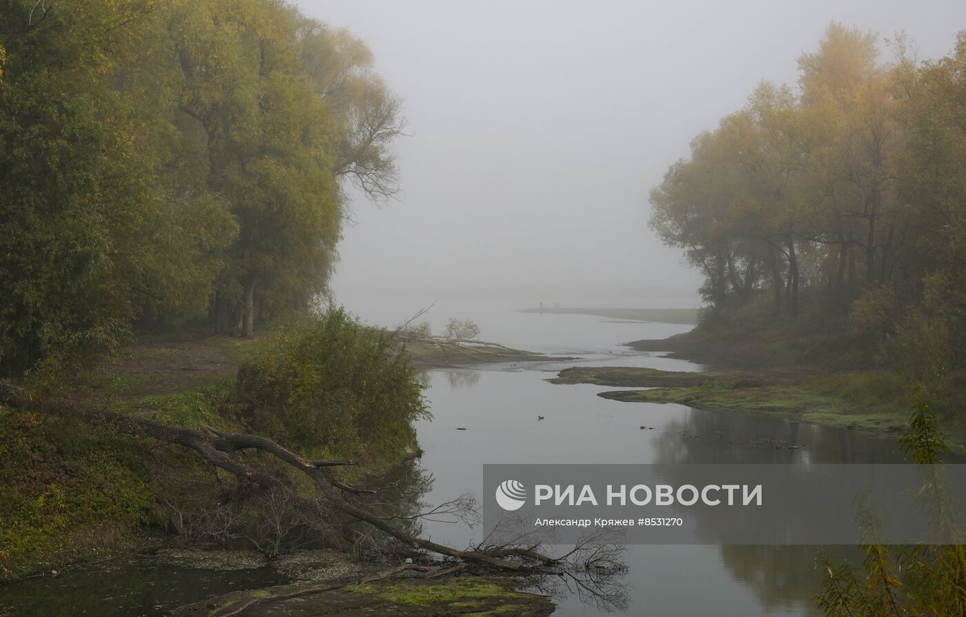 Осень в Новосибирске