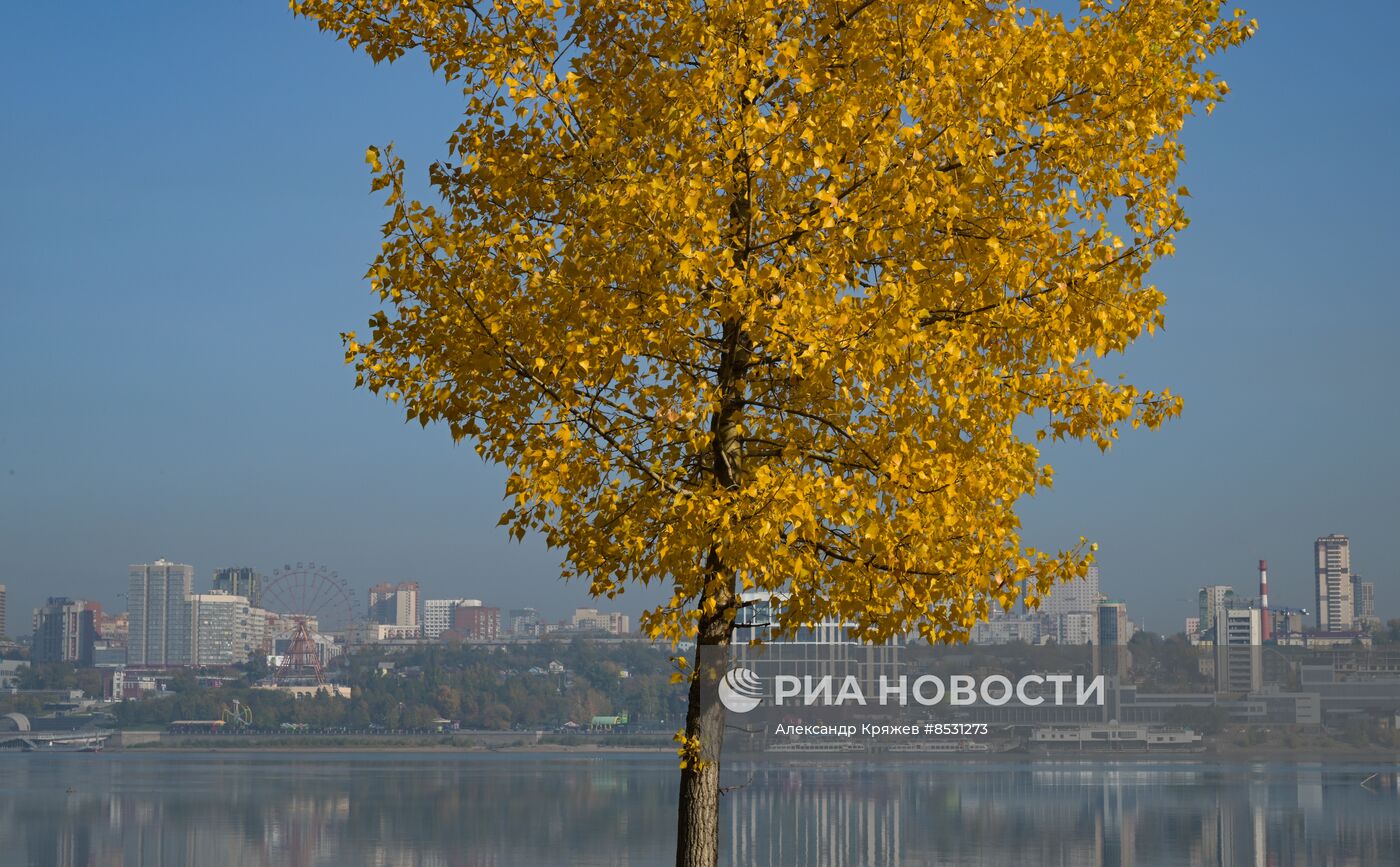 Осень в Новосибирске