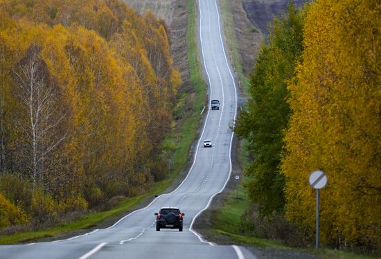 Осень в Новосибирске