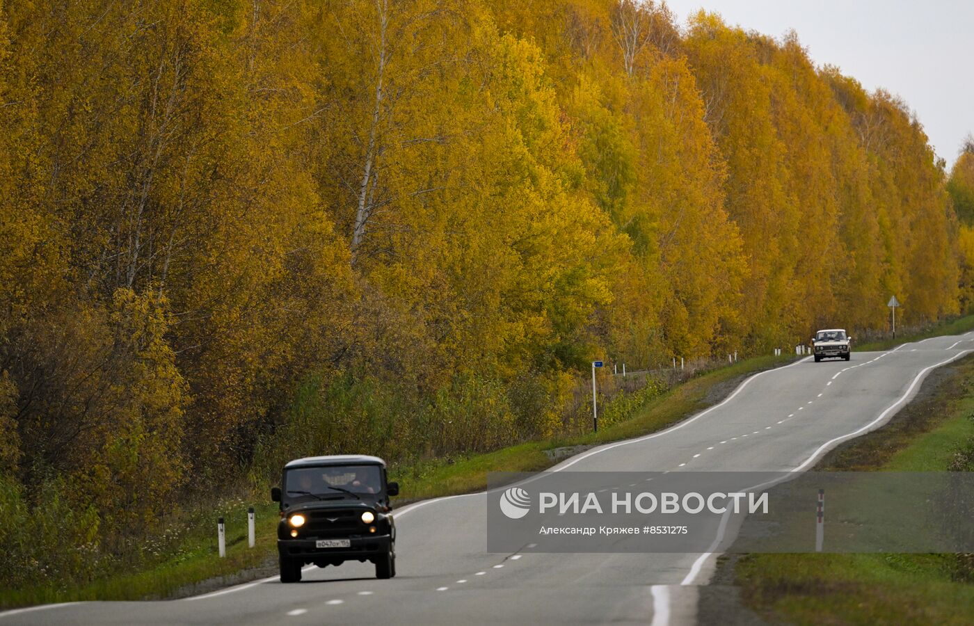 Осень в Новосибирске