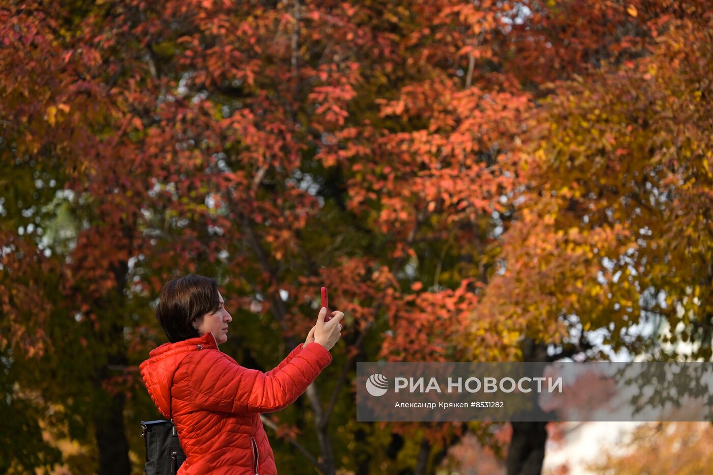 Осень в Новосибирске