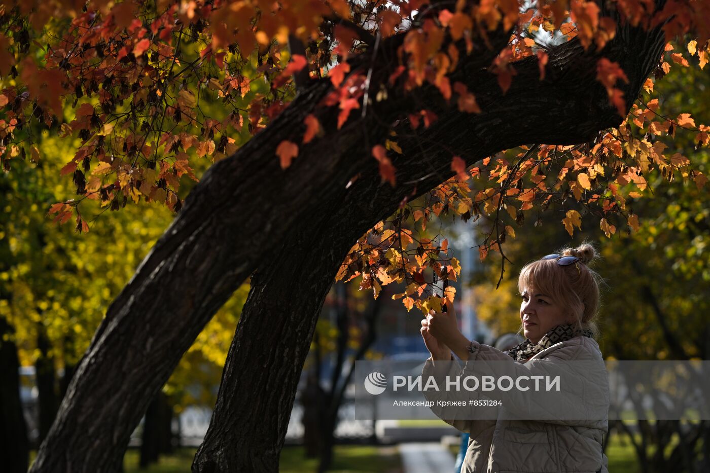 Осень в Новосибирске