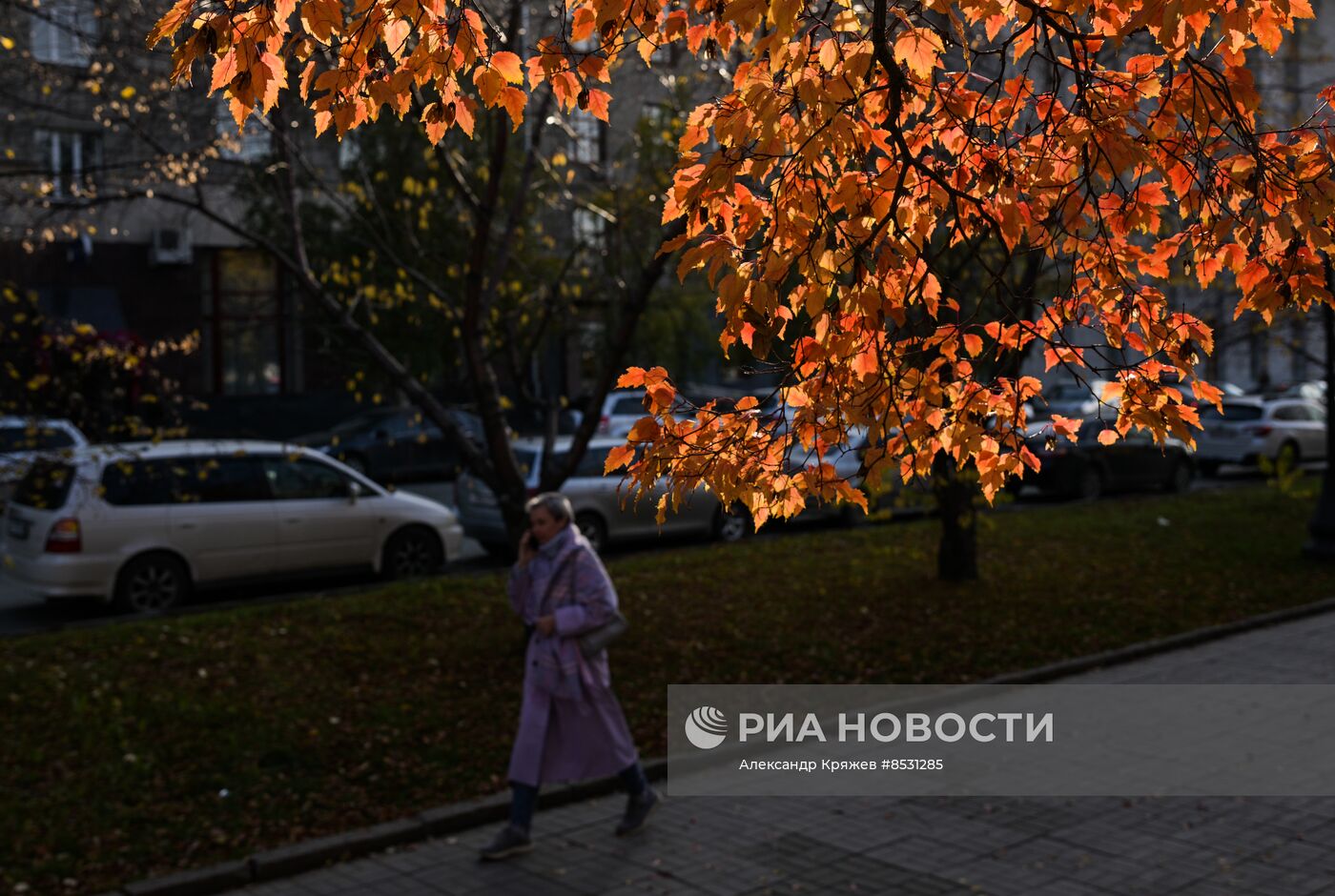 Осень в Новосибирске