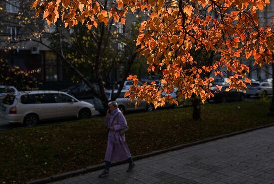 Осень в Новосибирске