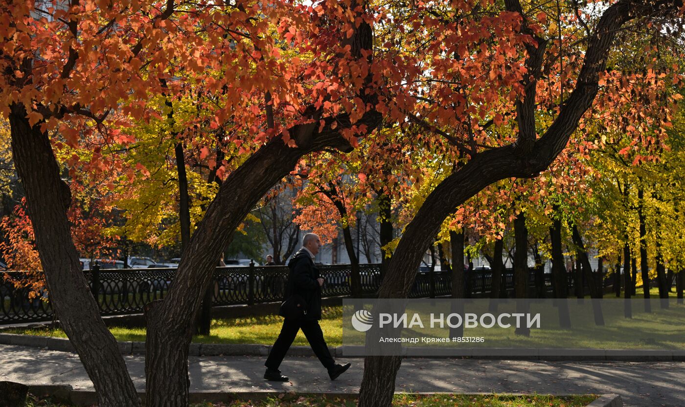 Осень в Новосибирске